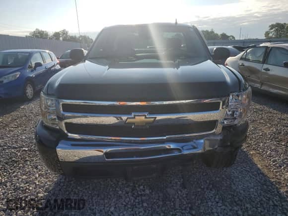 2009 Chevrolet Silverado 1500 Work Truck with VIN 1GCEC14C09Z102415, listed as a Copart auction lot 86639704 with 113,312 mi miles and Salvage title. Bid and sale history available at DreamBid. Image 5.
