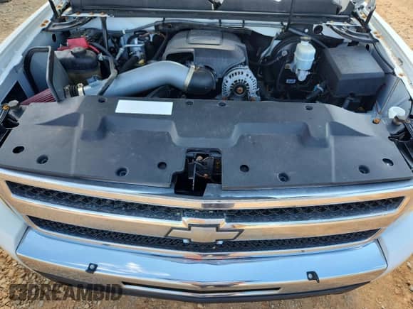 2010 Chevrolet Silverado 1500 LT with VIN 3GCRKSE31AG148655, listed as a Copart auction lot 81879615 with 258,203 mi miles and Salvage title. Bid and sale history available at DreamBid. Image 11.