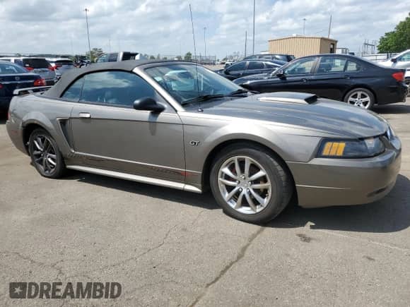 2002 Ford Mustang GT Deluxe z VIN 1FAFP45X02F235247, wystawiony jako Copart lot #57146565 z przebiegiem 213 776 mil mil oraz Czysty tytuł • Clean title. Historia ofert i sprzedaży dostępna na DreamBid. Obrazek 4.