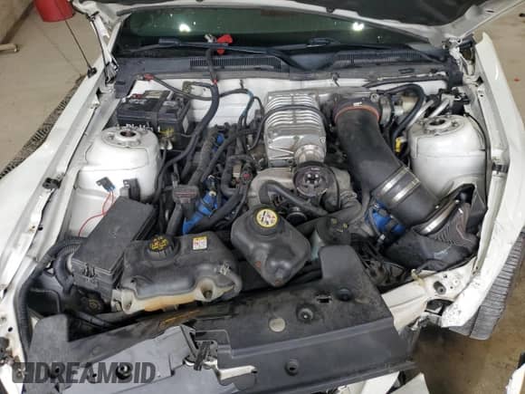2007 Ford Mustang GT Deluxe z VIN 1ZVFT82H975335304, wystawiony jako Copart lot #67806895 z przebiegiem 77 475 mil mil oraz Szkoda całkowita • Salvage title. Historia ofert i sprzedaży dostępna na DreamBid. Obrazek 11.