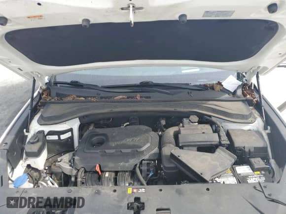 2020 Hyundai Santa Fe Limited с VIN 5NMS53AD9LH297741, выставлен на аукционе Copart как лот 81044065 с пробегом 50 210 миль миль и Списание • Salvage title. История ставок и продаж доступна на DreamBid. Изображение 12.