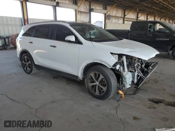 2017 Kia Sorento EX with VIN 5XYPH4A54HG306410, listed as a Copart auction lot 83945255 with 140,754 mi miles and Salvage title. Bid and sale history available at DreamBid. Image 4.