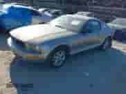 2008 Ford Mustang Deluxe with VIN 1ZVHT80N385127292, listed as a IAAI auction lot 43233810 with 216,162 mi miles and . Bid and sale history available at DreamBid. Image 18.