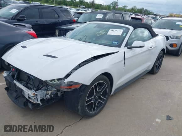 2023 Ford Mustang EcoBoost with VIN 1FATP8UH8P5111289, listed as a IAAI auction lot 41125373 with 13,219 mi miles and . Bid and sale history available at DreamBid. Image 18.