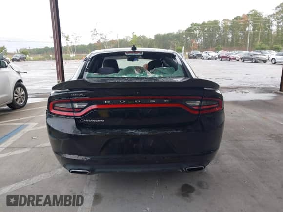 2019 Dodge Charger SXT with VIN 2C3CDXBG1KH664430, listed as a IAAI auction lot 43392216 with 124,195 mi miles and . Bid and sale history available at DreamBid. Image 16.