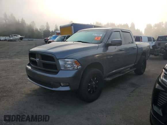 2009 Dodge 1500 SLT with VIN 1D3HV13T79S789918, listed as a Copart auction lot 81775385 with 300,326 mi miles and Salvage title. Bid and sale history available at DreamBid. Image 1.