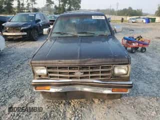 1988 Chevrolet Blazer z VIN 1GNCS18R7J8221699, wystawiony jako Copart lot #59299785 z przebiegiem 307 873 mil mil oraz Czysty tytuł • Clean title. Historia ofert i sprzedaży dostępna na DreamBid. Obrazek 5.