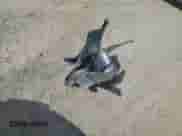 2013 BMW 3 Series 328i xDrive with VIN WBA3B3C54DF536773, listed as a Copart auction lot 70318905 with Not provided miles and Salvage title. Bid and sale history available at DreamBid. Image 12.