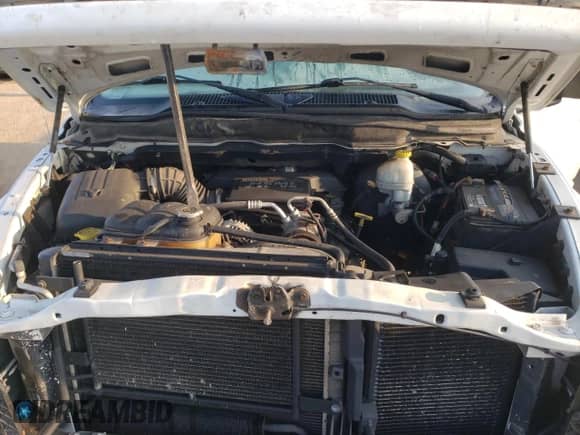 2003 Dodge 1500 ST с VIN 1D7HU18D03S246226, выставлен на аукционе Copart как лот 71655215 с пробегом 171 309 миль миль и Списание • Salvage title. История ставок и продаж доступна на DreamBid. Изображение 11.