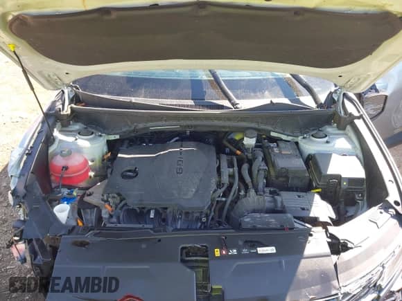 2024 Hyundai Tucson SEL с VIN KM8JB3DE0RU281496, выставлен на аукционе IAAI как лот 43227794 с пробегом 47 739 миль миль и . История ставок и продаж доступна на DreamBid. Изображение 10.