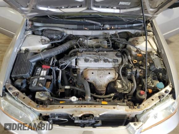 1999 Honda Accord EX with VIN 1HGCG5651XA114815, listed as a Copart auction lot 82134635 with Not provided miles and Salvage title. Bid and sale history available at DreamBid. Image 11.