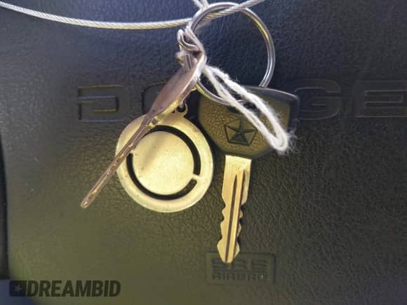 1994 Dodge 1500 z VIN 1B7HC16Y2RS532140, wystawiony jako IAAI lot #42542432 z przebiegiem 203 948 mil mil oraz . Historia ofert i sprzedaży dostępna na DreamBid. Obrazek 11.