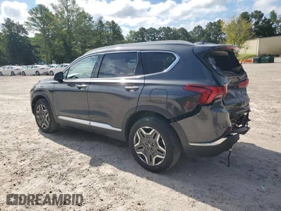 2021 Hyundai Santa Fe Limited with VIN 5NMS4DAL9MH342744, listed as a Copart auction lot 69919395 with 58,256 mi miles and Salvage title. Bid and sale history available at DreamBid. Image 2.