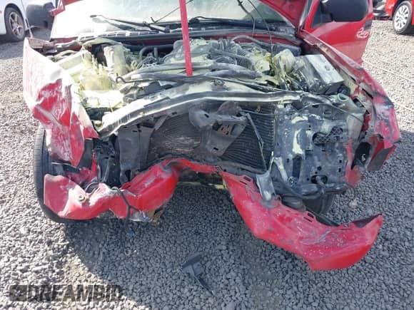 2003 Chevrolet S-10 LS с VIN 1GCCS19X638147572, выставлен на аукционе IAAI как лот 42533746 с пробегом Не указан миль и . История ставок и продаж доступна на DreamBid. Изображение 6.