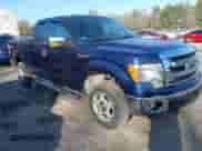 2013 Ford F-150 XL z VIN 1FTEX1EM4DFD51564, wystawiony jako IAAI lot #41778412 z przebiegiem 192 mil mil oraz . Historia ofert i sprzedaży dostępna na DreamBid. Obrazek 1.