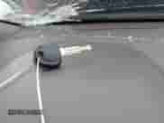 2011 Hyundai Tucson Limited с VIN KM8JUCAC6BU218874, выставлен на аукционе IAAI как лот 42001993 с пробегом 172 195 миль миль и . История ставок и продаж доступна на DreamBid. Изображение 11.