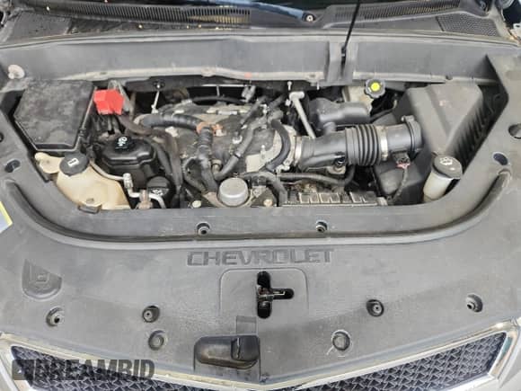 2009 Chevrolet Traverse 1LT with VIN 1GNEV23D09S153567, listed as a Copart auction lot 66835005 with 197,109 mi miles and Non repairable. Bid and sale history available at DreamBid. Image 12.