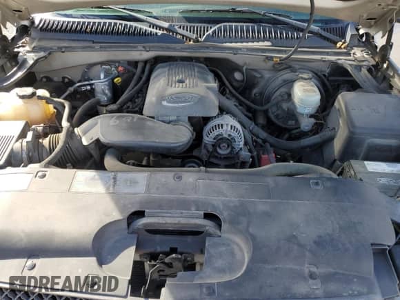 2005 Chevrolet Silverado 1500 Work Truck with VIN 1GCEK14T65Z240313, listed as a Copart auction lot 82521125 with 192,672 mi miles and Salvage title. Bid and sale history available at DreamBid. Image 11.