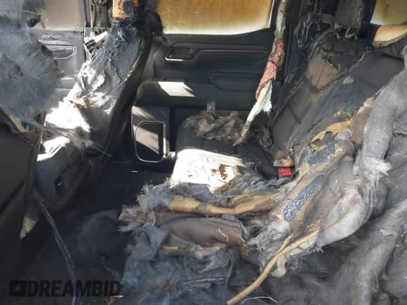 2022 Chevrolet Silverado 1500 RST z VIN 1GCUDEED8NZ558776, wystawiony jako IAAI lot #41374887 z przebiegiem Nie podano mil oraz . Historia ofert i sprzedaży dostępna na DreamBid. Obrazek 8.