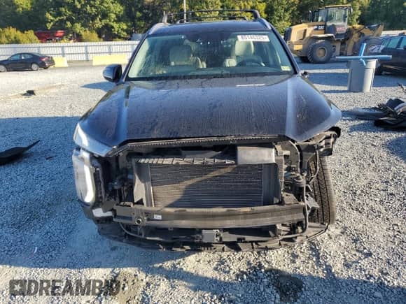 2021 Hyundai Palisade SEL with VIN KM8R4DHE5MU306317, listed as a Copart auction lot 85146325 with 40,561 mi miles and Salvage title. Bid and sale history available at DreamBid. Image 5.