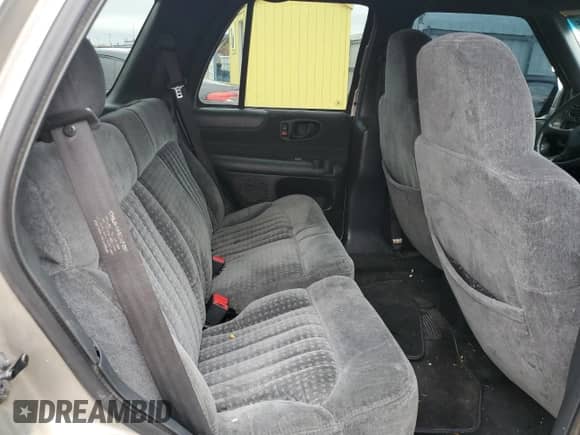 2000 Chevrolet Blazer LT with VIN 1GNCS13W2Y2397280, listed as a Copart auction lot 81970654 with 154,674 mi miles and Salvage title. Bid and sale history available at DreamBid. Image 10.