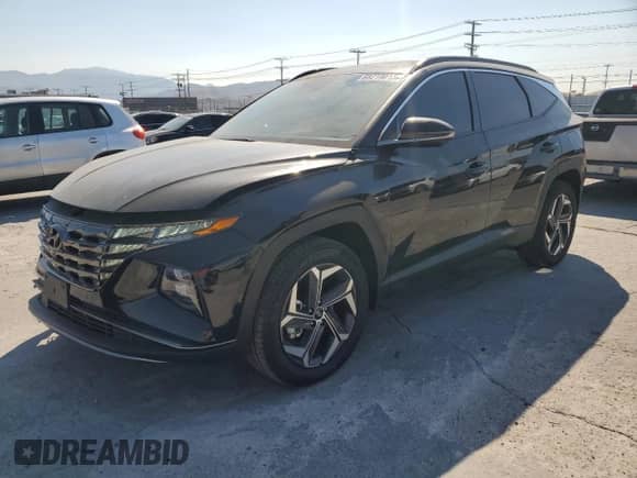 2024 Hyundai Tucson Limited with VIN KM8JECD14RU238297, listed as a Copart auction lot 68219015 with 17,040 mi miles and Salvage title. Bid and sale history available at DreamBid. Image 1.