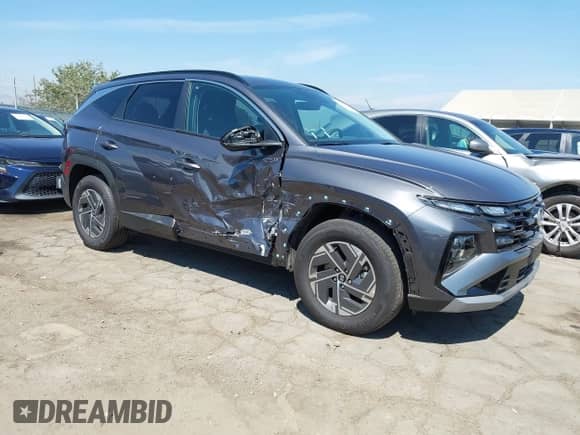 2025 Hyundai Tucson Blue with VIN KM8JBDD17SU346448, listed as a IAAI auction lot 42939235 with 3,124 mi miles and . Bid and sale history available at DreamBid. Image 1.