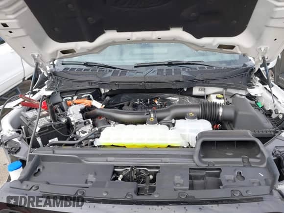 2025 Ford F-150 Lariat with VIN 1FTFW5LD8SFB71812, listed as a IAAI auction lot 43146033 with 1,904 mi miles and . Bid and sale history available at DreamBid. Image 10.