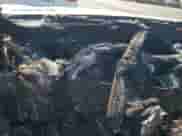 2019 Toyota Camry XSE z VIN 4T1BZ1HK7KU029528, wystawiony jako Copart lot #80689775 z przebiegiem Nie podano mil oraz Nie do naprawy • Non repairable. Historia ofert i sprzedaży dostępna na DreamBid. Obrazek 9.