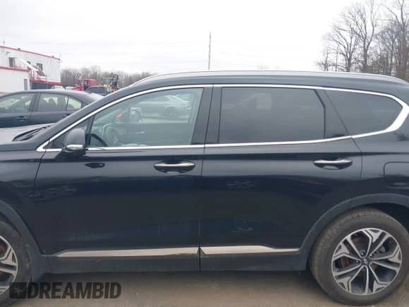 2020 Hyundai Santa Fe Limited with VIN 5NMS53AA5LH250051, listed as a IAAI auction lot 41431673 with 55,530 mi miles and . Bid and sale history available at DreamBid. Image 14.