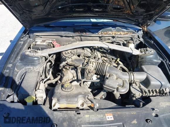 2012 Ford Mustang V6 с VIN 1ZVBP8EM6C5255710, выставлен на аукционе IAAI как лот 43094136 с пробегом 180 229 миль миль и . История ставок и продаж доступна на DreamBid. Изображение 10.