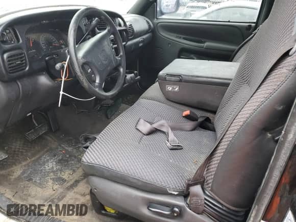 1999 Dodge 1500 with VIN 3B7HC12Y8XG189909, listed as a Copart auction lot 87682755 with Not provided miles and Salvage title. Bid and sale history available at DreamBid. Image 8.