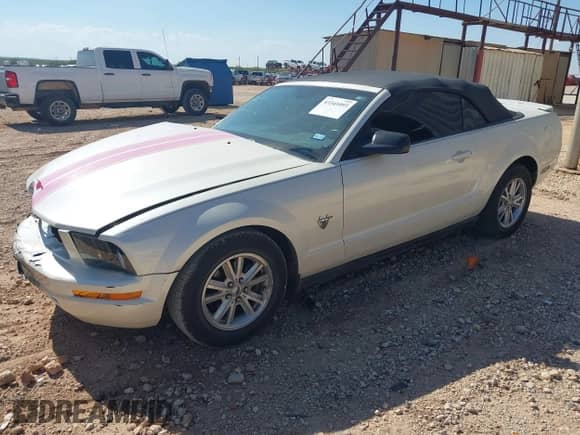2009 Ford Mustang z VIN 1ZVHT84N195100247, wystawiony jako IAAI lot #43341093 z przebiegiem 94 326 mil mil oraz . Historia ofert i sprzedaży dostępna na DreamBid. Obrazek 2.