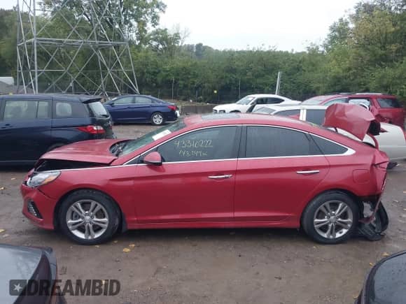 2019 Hyundai Sonata Sport z VIN 5NPE34AF9KH800521, wystawiony jako IAAI lot #43310222 z przebiegiem 148 249 mil mil oraz . Historia ofert i sprzedaży dostępna na DreamBid. Obrazek 14.