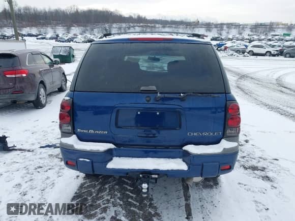 2002 Chevrolet TrailBlazer LT with VIN 1GNDT13S222195223, listed as a IAAI auction lot 41363127 with 143,905 mi miles and . Bid and sale history available at DreamBid. Image 16.