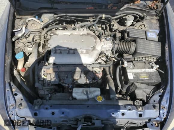 2003 Honda Accord EX with VIN 1HGCM66563A016646, listed as a Copart auction lot 86900195 with 137,155 mi miles and Clean title. Bid and sale history available at DreamBid. Image 11.