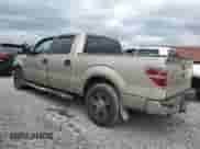 2010 Ford F-150 XL z VIN 1FTEW1C84AFB91285, wystawiony jako Copart lot #85287275 z przebiegiem 215 644 mil mil oraz Szkoda całkowita • Salvage title. Historia ofert i sprzedaży dostępna na DreamBid. Obrazek 2.