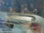 1989 Dodge Dakota S с VIN 1B7FL26X5KS067170, выставлен на аукционе Copart как лот 46698715 с пробегом 141 091 миль миль и Списание • Salvage title. История ставок и продаж доступна на DreamBid. Изображение 12.