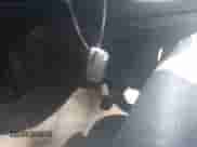 2014 BMW 7 Series 740i с VIN WBAYA6C52ED144477, выставлен на аукционе IAAI как лот 43191212 с пробегом 182 792 миль миль и . История ставок и продаж доступна на DreamBid. Изображение 11.