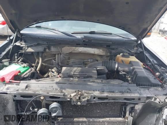 2011 Ford F-150 XL с VIN 1FTFX1EF5BFC11400, выставлен на аукционе IAAI как лот 42032024 с пробегом 214 544 миль миль и . История ставок и продаж доступна на DreamBid. Изображение 10.