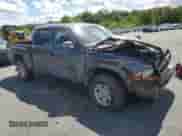 2002 Dodge Dakota Sport with VIN 1B7GG32N12S546334, listed as a Copart auction lot 70287395 with 175,351 mi miles and Salvage title. Bid and sale history available at DreamBid. Image 4.
