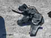 2016 Hyundai Veloster Turbo Rally Edition z VIN KMHTC6AE5GU260653, wystawiony jako Copart lot #70649355 z przebiegiem 86 037 mil mil oraz Szkoda całkowita • Salvage title. Historia ofert i sprzedaży dostępna na DreamBid. Obrazek 12.