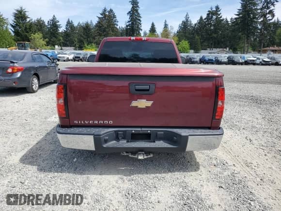 2009 Chevrolet Silverado 1500 Work Truck with VIN 1GCEC14X29Z218430, listed as a Copart auction lot 56406835 with 170,868 mi miles and Salvage title. Bid and sale history available at DreamBid. Image 6.