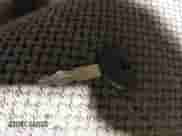 2001 Dodge 1500 с VIN 1B7HF13Y91J586394, выставлен на аукционе IAAI как лот 41345448 с пробегом 222 594 миль миль и . История ставок и продаж доступна на DreamBid. Изображение 11.