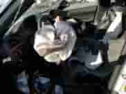 2013 BMW 3 Series 328i xDrive с VIN WBA3B5G58DNS04346, выставлен на аукционе Copart как лот 77405664 с пробегом Не указан миль и На запчасти • Non repairable. История ставок и продаж доступна на DreamBid. Изображение 7.