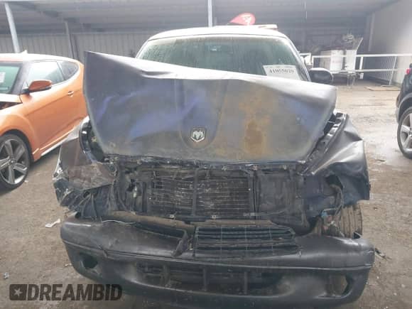 1998 Dodge Dakota SLT с VIN 1B7FL26Y3WS559713, выставлен на аукционе IAAI как лот 41055029 с пробегом 203 300 миль миль и . История ставок и продаж доступна на DreamBid. Изображение 12.