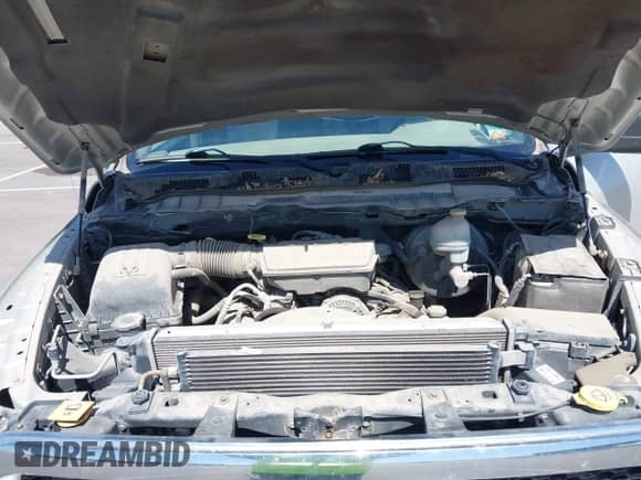 2010 Dodge 1500 SLT z VIN 1D7RV1CP7AS232095, wystawiony jako IAAI lot #41974699 z przebiegiem 171 174 mil mil oraz . Historia ofert i sprzedaży dostępna na DreamBid. Obrazek 10.