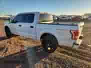 2016 Ford F-150 XLT with VIN 1FTEW1C84GKD24319, listed as a Copart auction lot 86672605 with 174,466 mi miles and Salvage title. Bid and sale history available at DreamBid. Image 2.