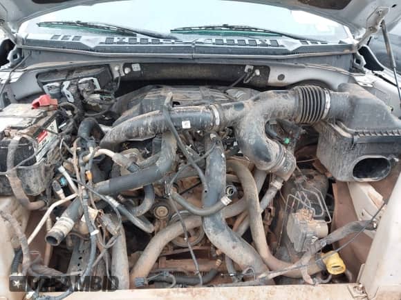 2018 Ford F-150 XL с VIN 1FTEW1CP6JKC08764, выставлен на аукционе IAAI как лот 43106030 с пробегом 142 709 миль миль и . История ставок и продаж доступна на DreamBid. Изображение 10.