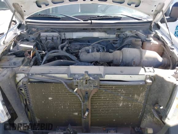 2008 Ford F-150 XL with VIN 1FTRF122X8KE25882, listed as a IAAI auction lot 42330470 with 199,634 mi miles and . Bid and sale history available at DreamBid. Image 10.